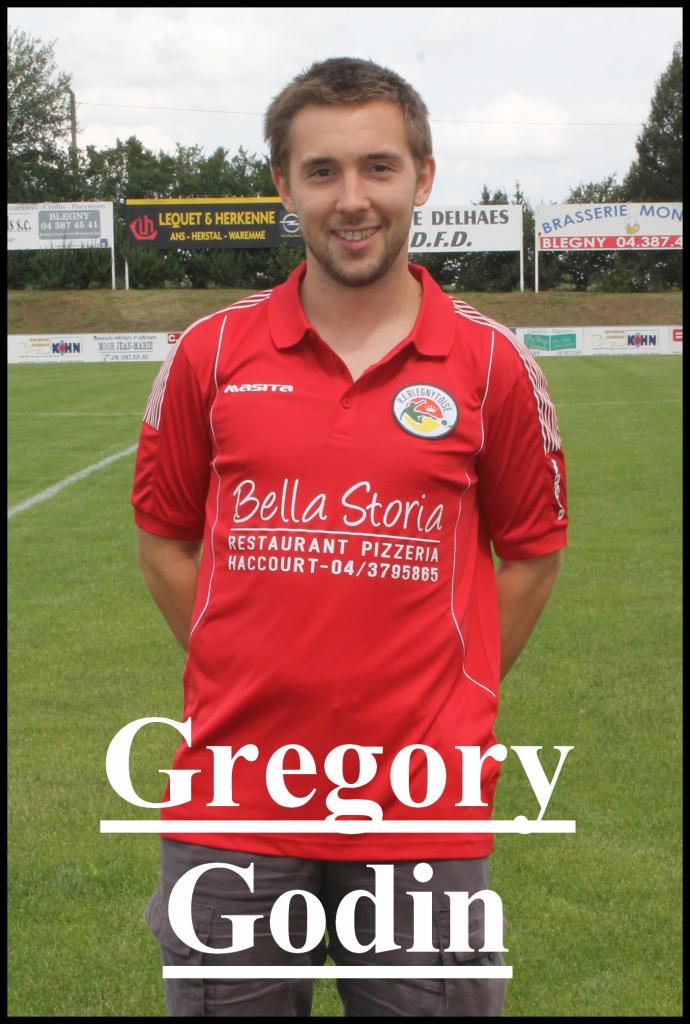 Greg Godin