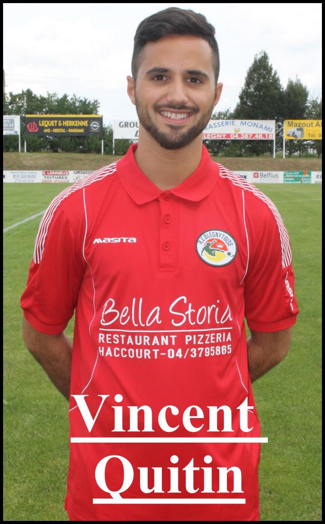 Vincent quitin